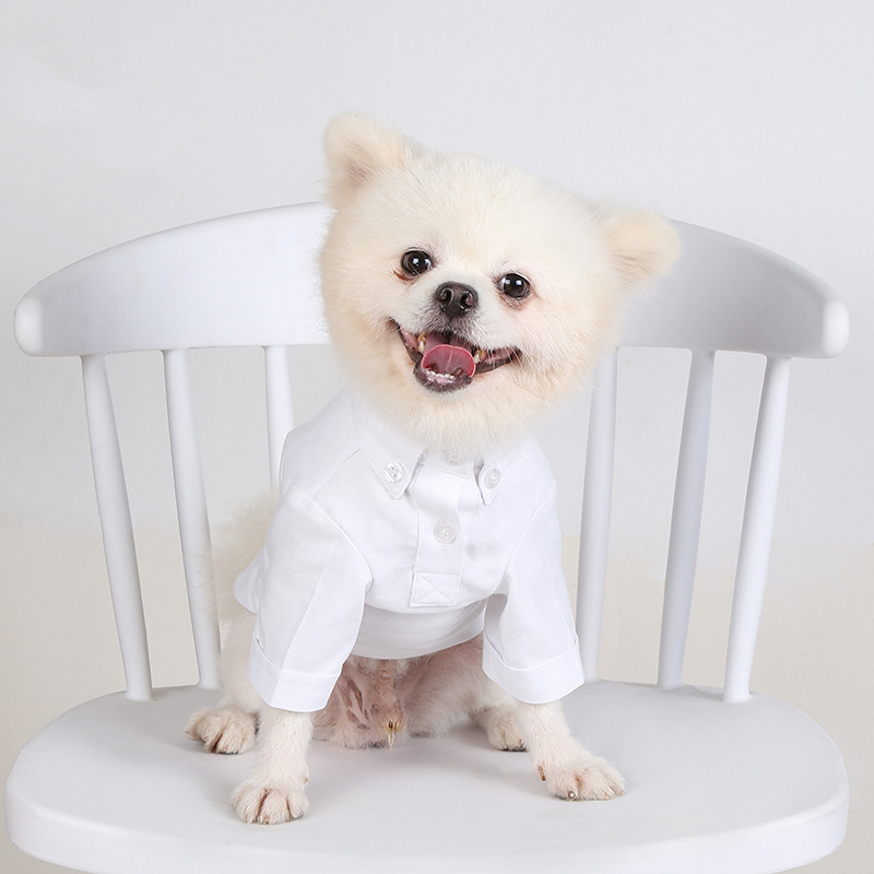 Summer Dog Clothing - İlkbahar ve sonbahar Pet dip gömlek