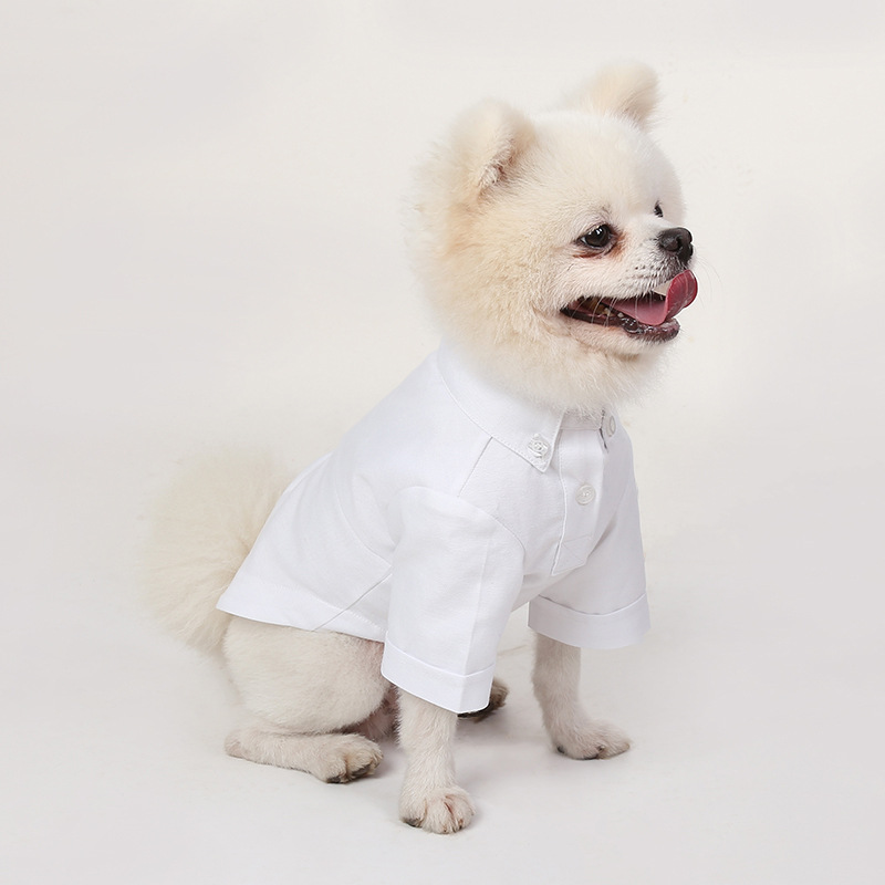 İlkbahar ve sonbahar Pet dip g - Summer Dog Clothing incelemesi ve fiyatı