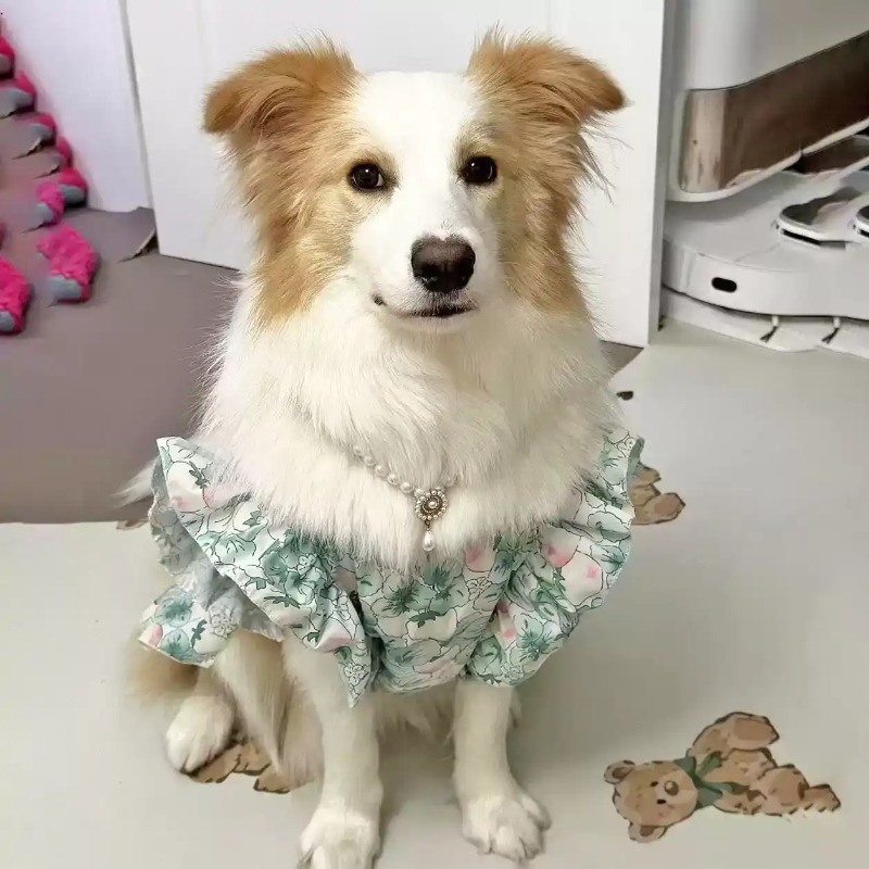Evcil Hayvan Giysileri İlkbaha - Summer Dog Clothing incelemesi ve fiyatı