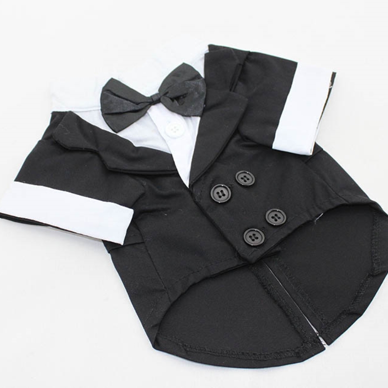 Köpek gömlek köpek giysileri,  - Summer Dog Clothing incelemesi ve fiyatı