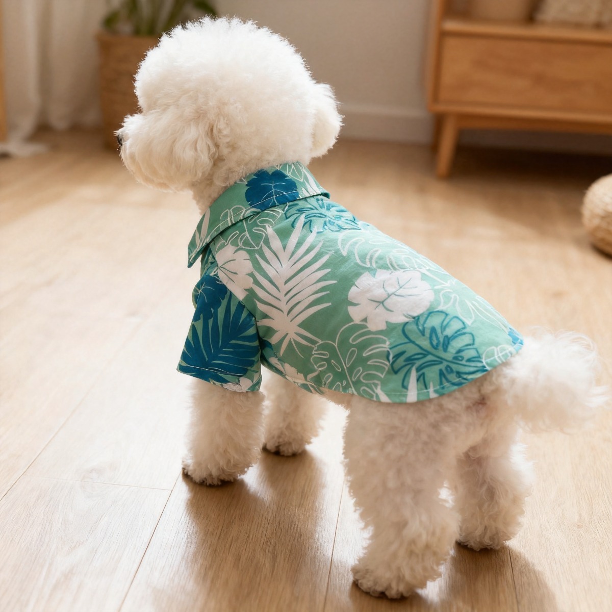 Kedi Çiçekli Gömlek, Hafif İlk - Summer Dog Clothing incelemesi ve fiyatı