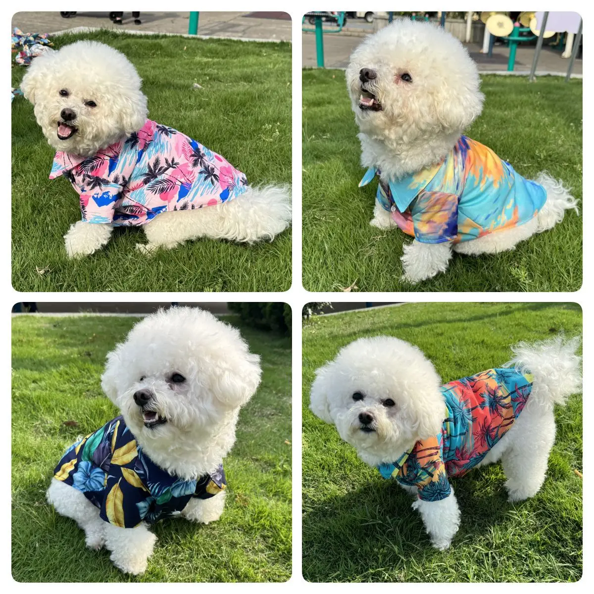 Hawaiian Gömlek Köpekler ve Ke - Summer Dog Clothing incelemesi ve fiyatı