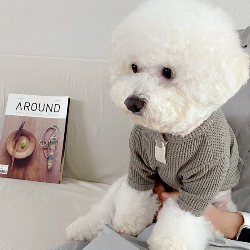 Yaz Pet Gömlek Katı Köpek T-Sh - Summer Dog Clothing incelemesi ve fiyatı