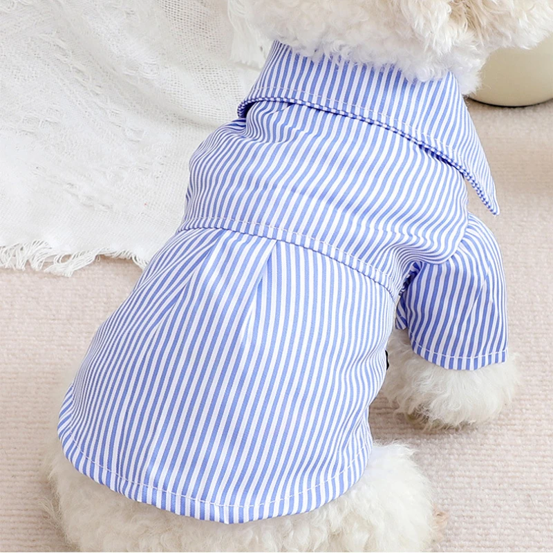 Pet köpek giysileri ilmek çizg - Summer Dog Clothing incelemesi ve fiyatı
